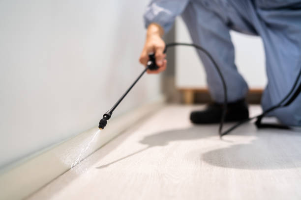 Bed Bug Pre-Treatment Preparation Assessment in Cloverport