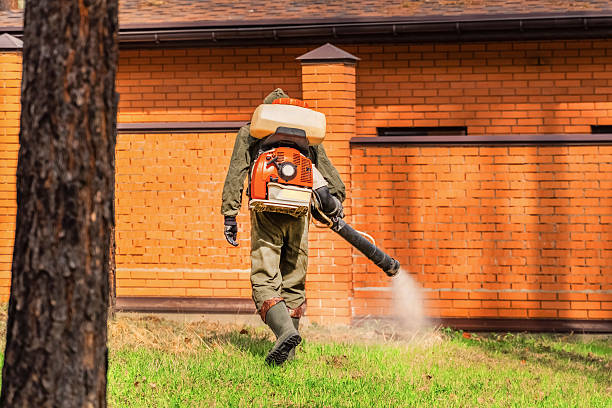 Bed Bug Clearance Verification and Documentation in Cloverport